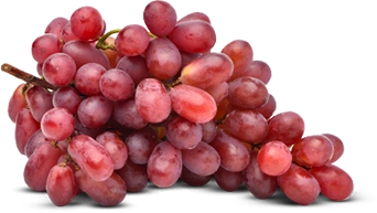 grape